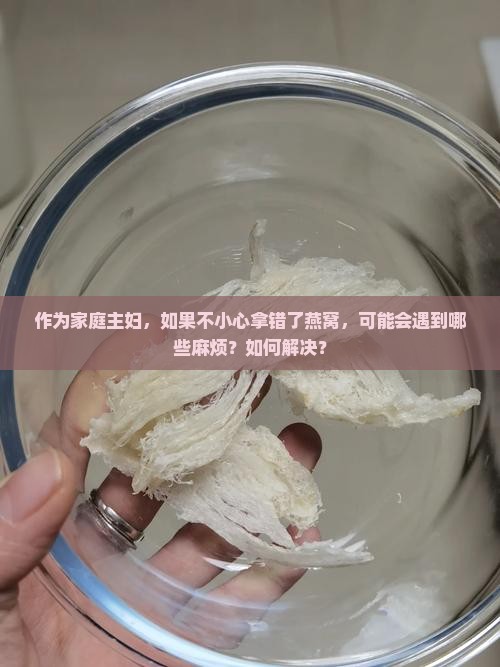 作为家庭主妇，如果不小心拿错了燕窝，可能会遇到哪些麻烦？如何解决？