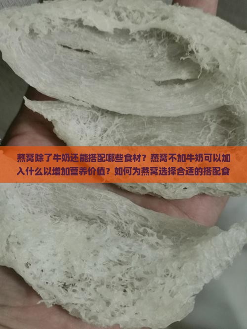 燕窝除了牛奶还能搭配哪些食材？燕窝不加牛奶可以加入什么以增加营养价值？如何为燕窝选择合适的搭配食材？