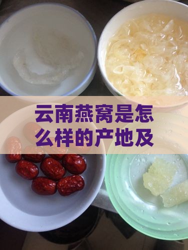 云南燕窝是怎么样的产地及其特色解析