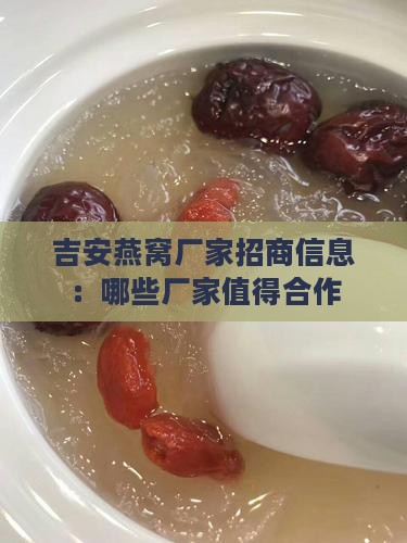 吉安燕窝厂家招商信息：哪些厂家值得合作