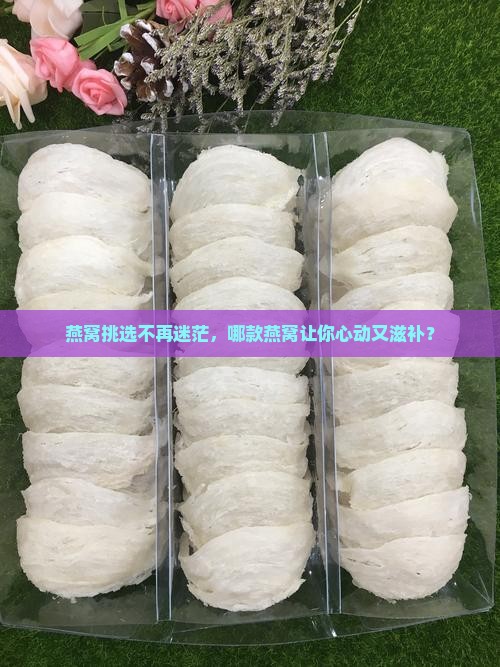 燕窝挑选不再迷茫，哪款燕窝让你心动又滋补？