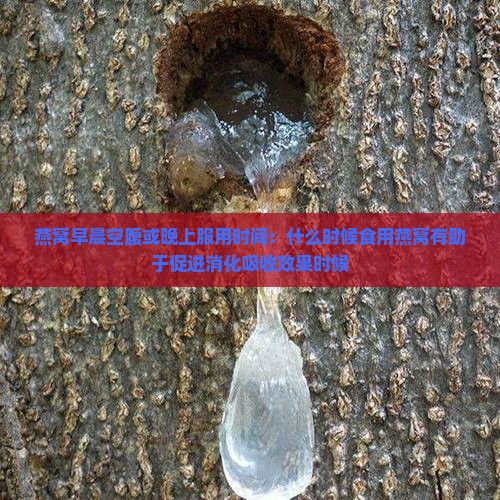 燕窝早晨空腹或晚上服用时间：什么时候食用燕窝有助于促进消化吸收效果时候