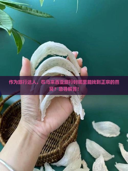 作为旅行达人，在马来西亚旅行时哪里能找到正宗的燕窝？急寻解答！
