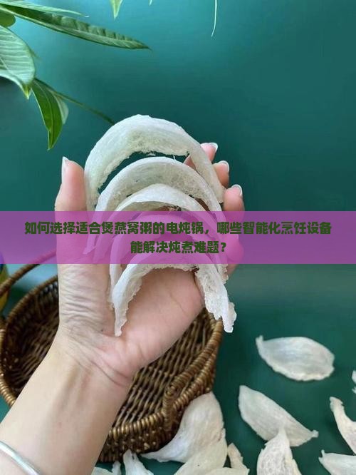 如何选择适合煲燕窝粥的电炖锅，哪些智能化烹饪设备能解决炖煮难题？