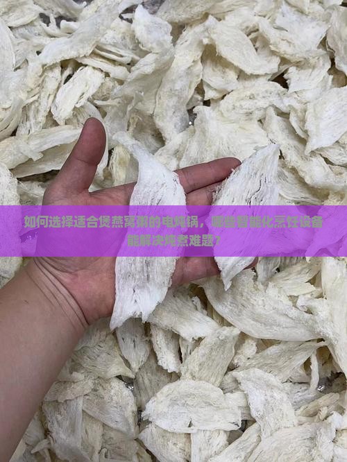如何选择适合煲燕窝粥的电炖锅，哪些智能化烹饪设备能解决炖煮难题？