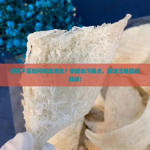 燕窝干品如何彻底清洗？掌握去污痛点，跟清洁难题说拜拜！