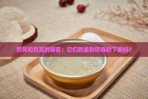 燕窝和燕耳的秘密：它们的差别你真的了解吗？