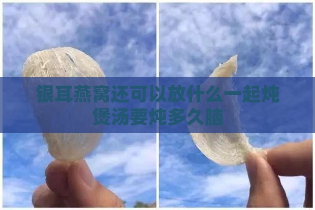 银耳燕窝还可以放什么一起炖煲汤要炖多久脑