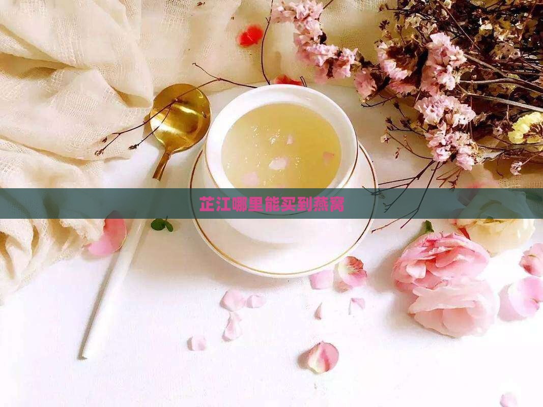 芷江哪里能买到燕窝