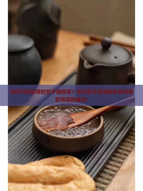 为何只有勤劳的燕子能搭窝？探讨燕子筑巢的辛劳与智慧背后的痛点！
