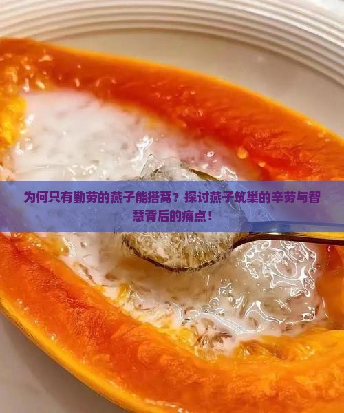 为何只有勤劳的燕子能搭窝？探讨燕子筑巢的辛劳与智慧背后的痛点！