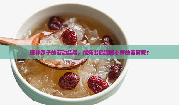 哪种燕子的劳动结晶，能炖出最温暖心房的燕窝呢？