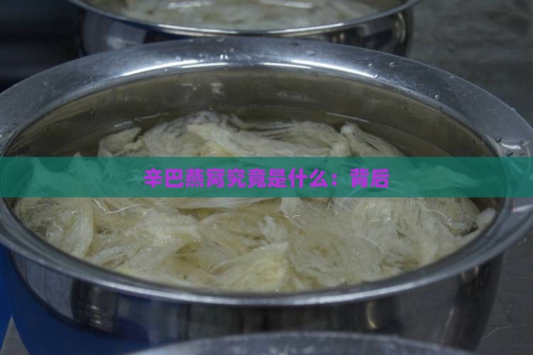 辛巴燕窝究竟是什么：背后