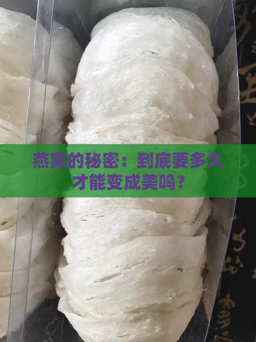 燕窝的秘密：到底要多久才能变成美呜？