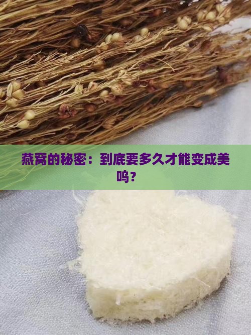 燕窝的秘密：到底要多久才能变成美呜？