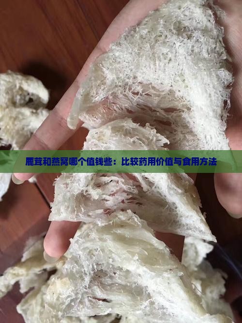 鹿茸和燕窝哪个值钱些：比较药用价值与食用方法