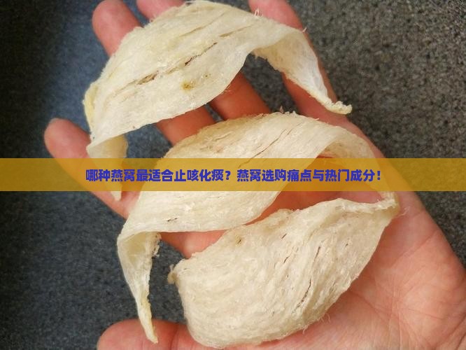 哪种燕窝最适合止咳化痰？燕窝选购痛点与热门成分！