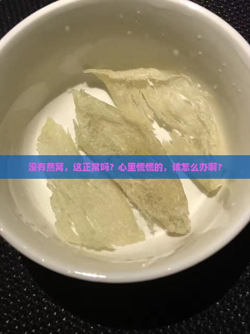 没有燕窝，这正常吗？心里慌慌的，该怎么办啊？
