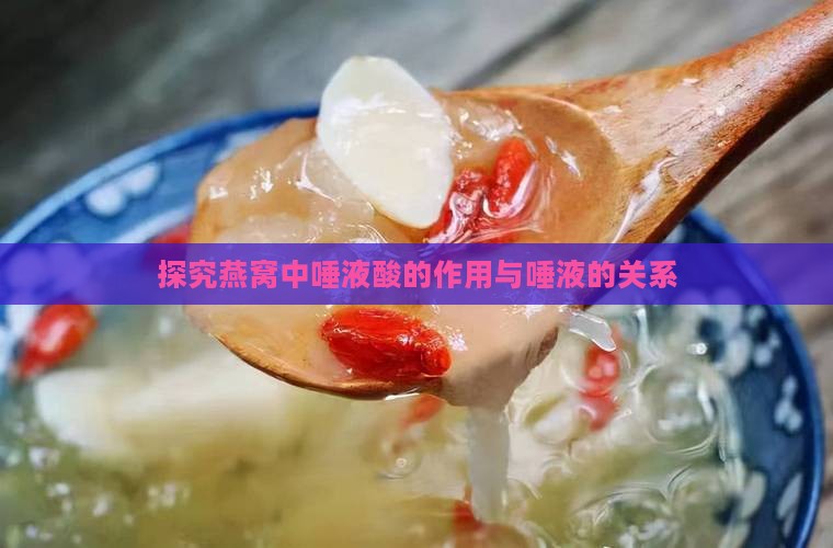 探究燕窝中唾液酸的作用与唾液的关系