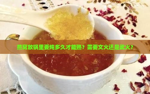 燕窝放锅里要炖多久才能熟？需要文火还是武火？