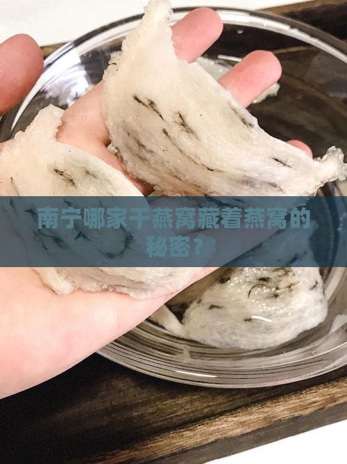 南宁哪家干燕窝藏着燕窝的秘密？