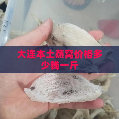 大连本土燕窝价格多少钱一斤