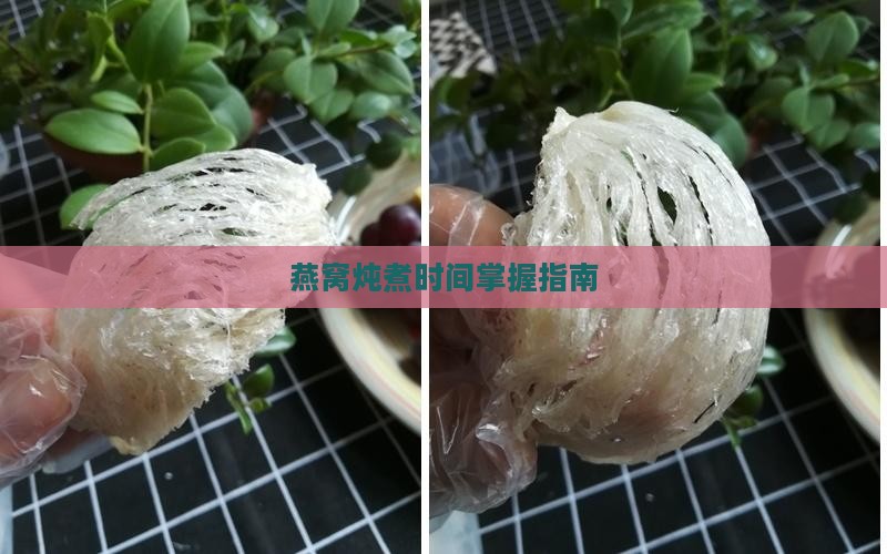 燕窝炖煮时间掌握指南