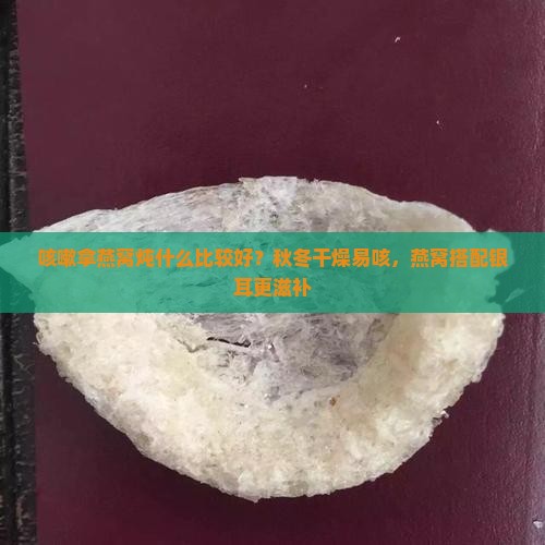 咳嗽拿燕窝炖什么比较好？秋冬干燥易咳，燕窝搭配银耳更滋补