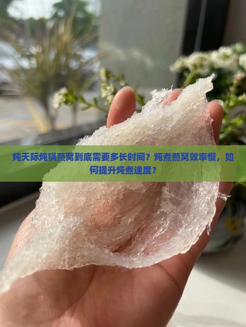 炖天际炖锅燕窝到底需要多长时间？炖煮燕窝效率慢，如何提升炖煮速度？