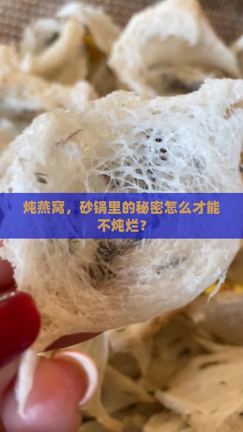 炖燕窝，砂锅里的秘密怎么才能不炖烂？