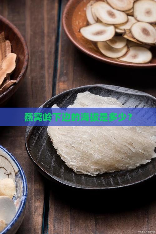 燕窝岭下边的海拔是多少？