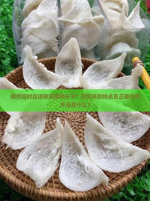 喝燕窝时应该使用哪种杯子？燕窝杯的特点及正确使用方法是什么？
