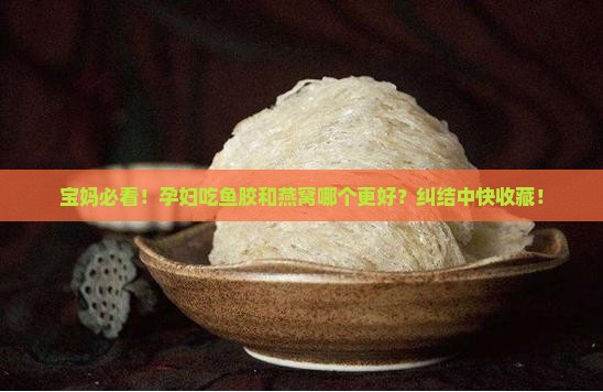 宝妈必看!孕妇吃鱼胶和燕窝哪个更好?纠结中快收藏! 宝妈必看!孕妇吃鱼胶和燕窝哪个更好?纠结中快收藏!