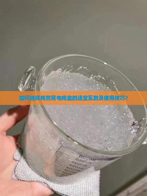 如何选择炖燕窝电炖盅的适宜瓦数及使用技巧？