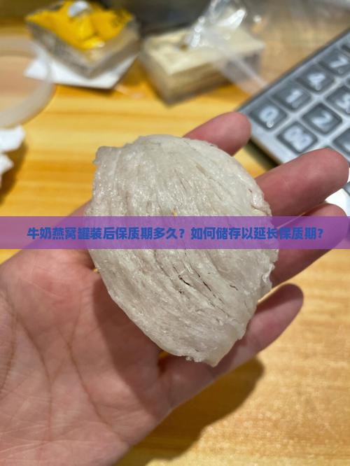 牛奶燕窝罐装后保质期多久？如何储存以延长保质期？