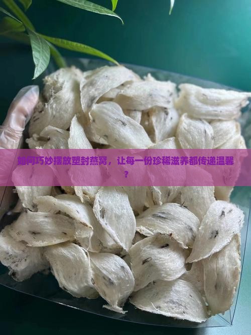 如何巧妙摆放塑封燕窝，让每一份珍稀滋养都传递温馨？