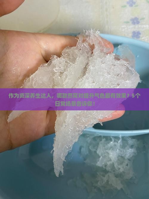 作为资深养生达人，哪款燕窝对提升气色最有效果？5个日常场景告诉你！