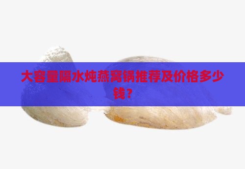 大容量隔水炖燕窝锅推荐及价格多少钱？