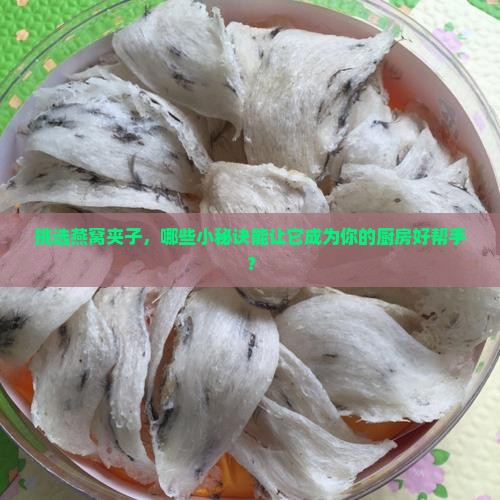 挑选燕窝夹子，哪些小秘诀能让它成为你的厨房好帮手？