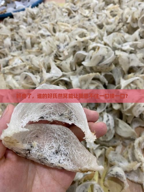好奇了，谁的好氏燕窝能让我忍不住一口接一口？