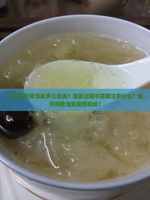 一颗干燕窝泡发多久合适？泡发过程中需要注意什么？如何判断泡发是否完成？