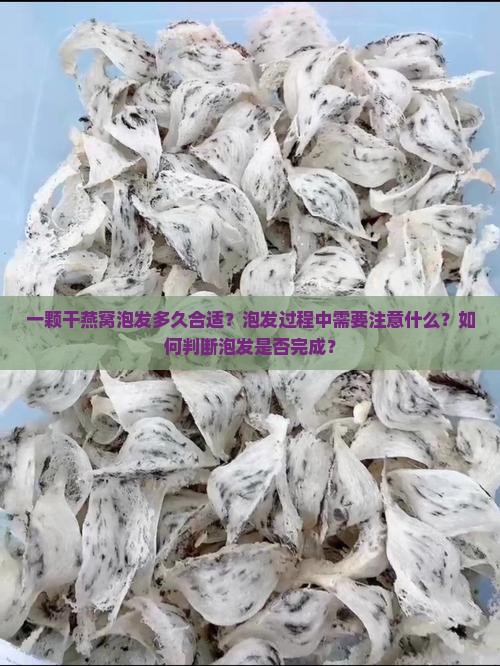 一颗干燕窝泡发多久合适？泡发过程中需要注意什么？如何判断泡发是否完成？