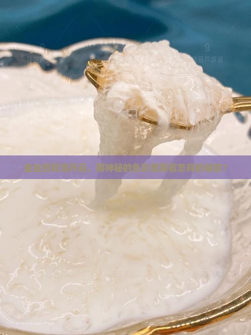 金丝燕窝泡开后，那神秘的色彩里藏着怎样的秘密？