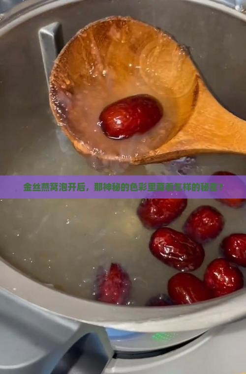金丝燕窝泡开后，那神秘的色彩里藏着怎样的秘密？