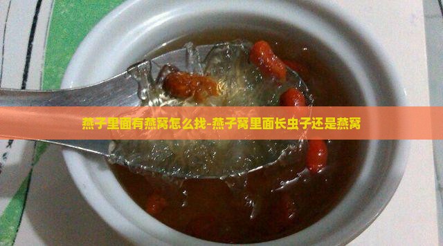 燕子里面有燕窝怎么找-燕子窝里面长虫子还是燕窝