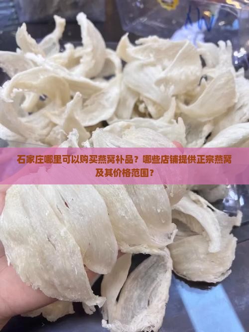 石家庄哪里可以购买燕窝补品？哪些店铺提供正宗燕窝及其价格范围？