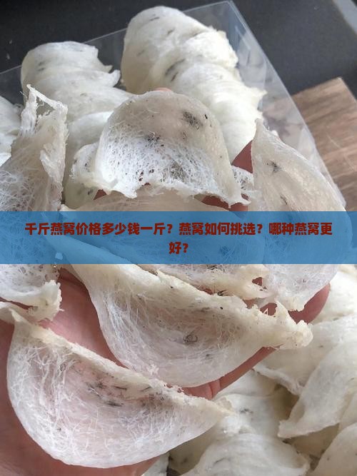 千斤燕窝价格多少钱一斤？燕窝如何挑选？哪种燕窝更好？