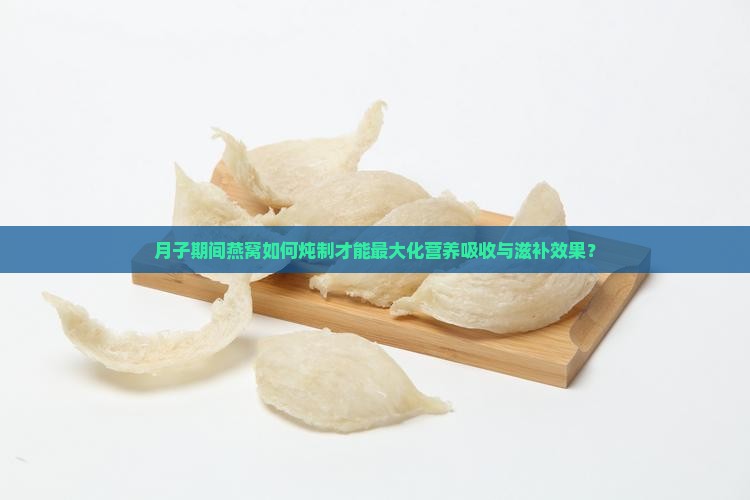 月子期间燕窝如何炖制才能最大化营养吸收与滋补效果？