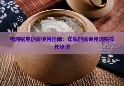 电炖锅炖燕窝使用指南：详解燕窝专用炖锅操作步骤