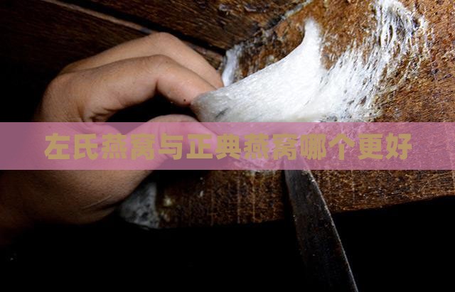 左氏燕窝与正典燕窝哪个更好